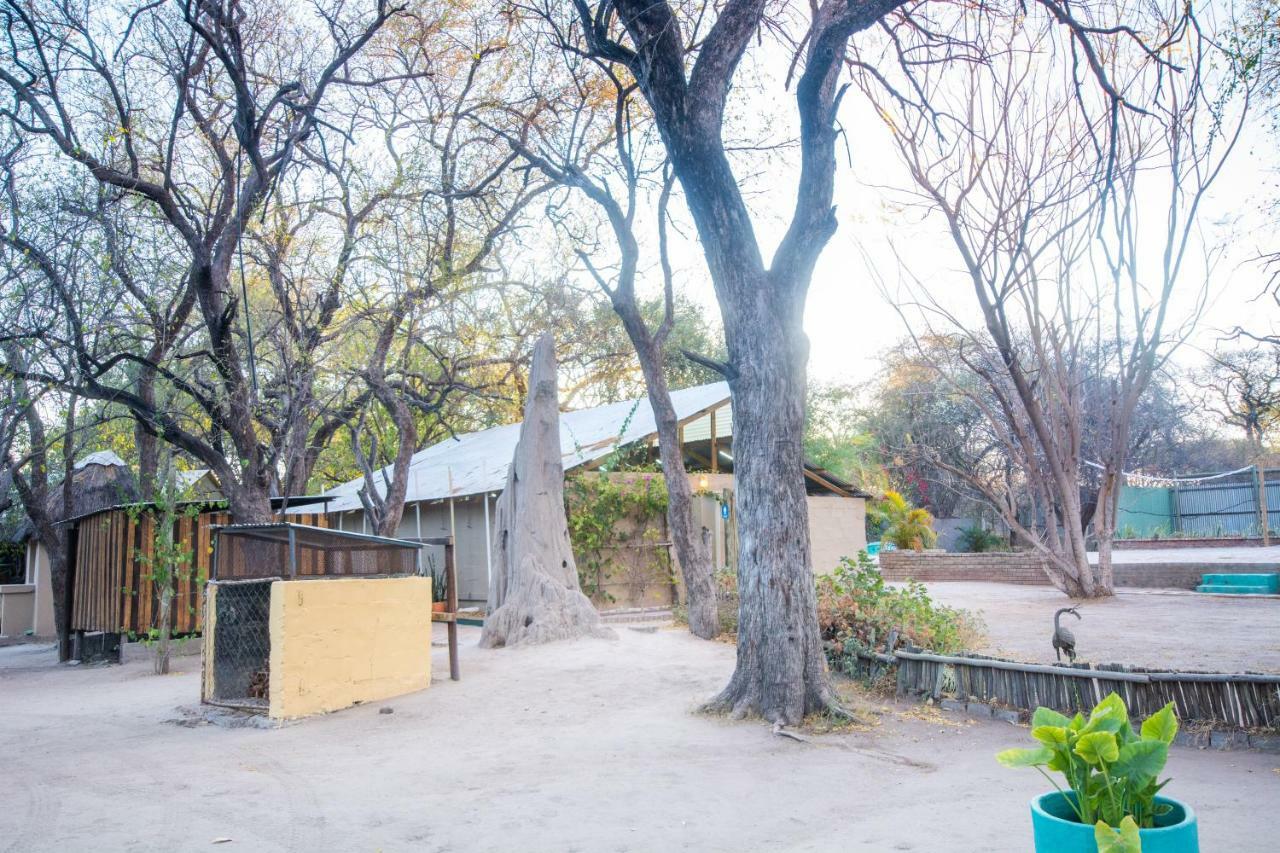 Sitatunga Campsite Maun Exterior photo